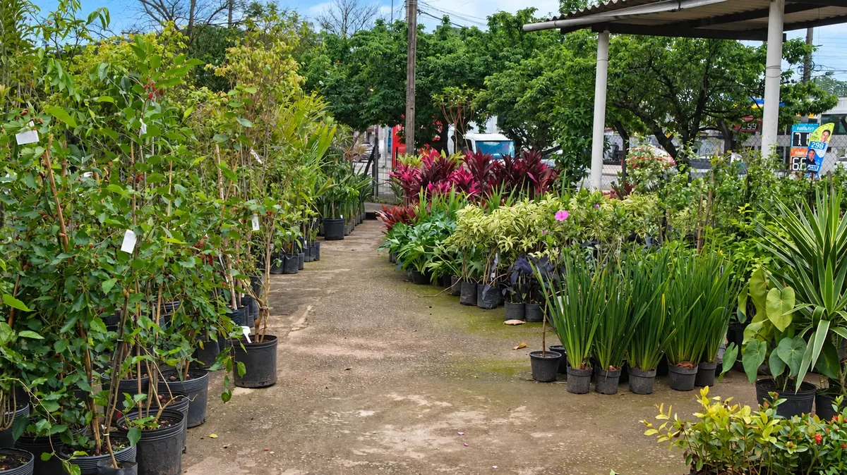 Corredor da Verde Mix com frutíferas, ornamentais e palmeiras em vasos